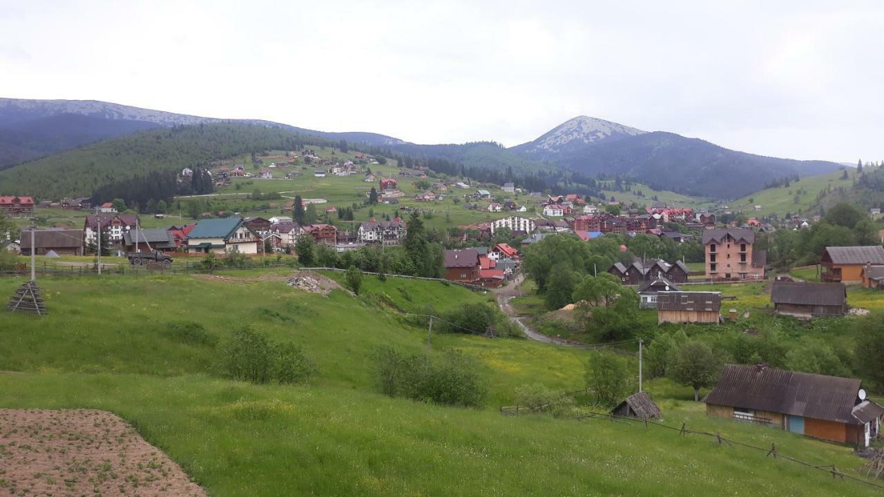 Bee House Поляниця Апартаменти Bukovel Exterior photo